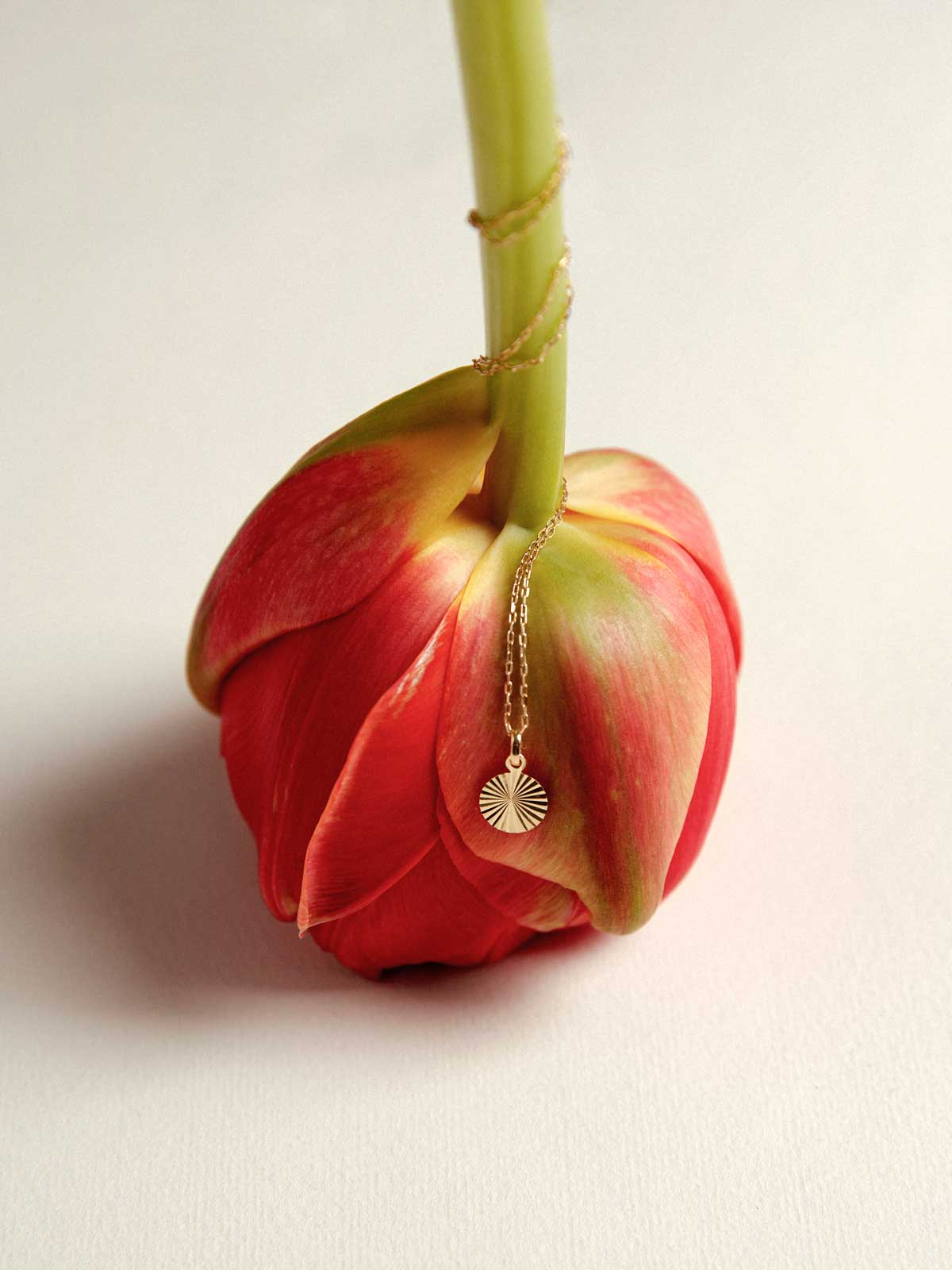 Summers Delight Halskette | 14k Echtgold - Image 6